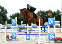 Pensions pour chevaux Ecuries Félix Jarry